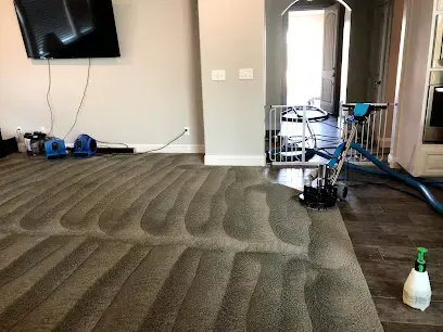 Freshly extracted carpet with drying equipment in a Redding home