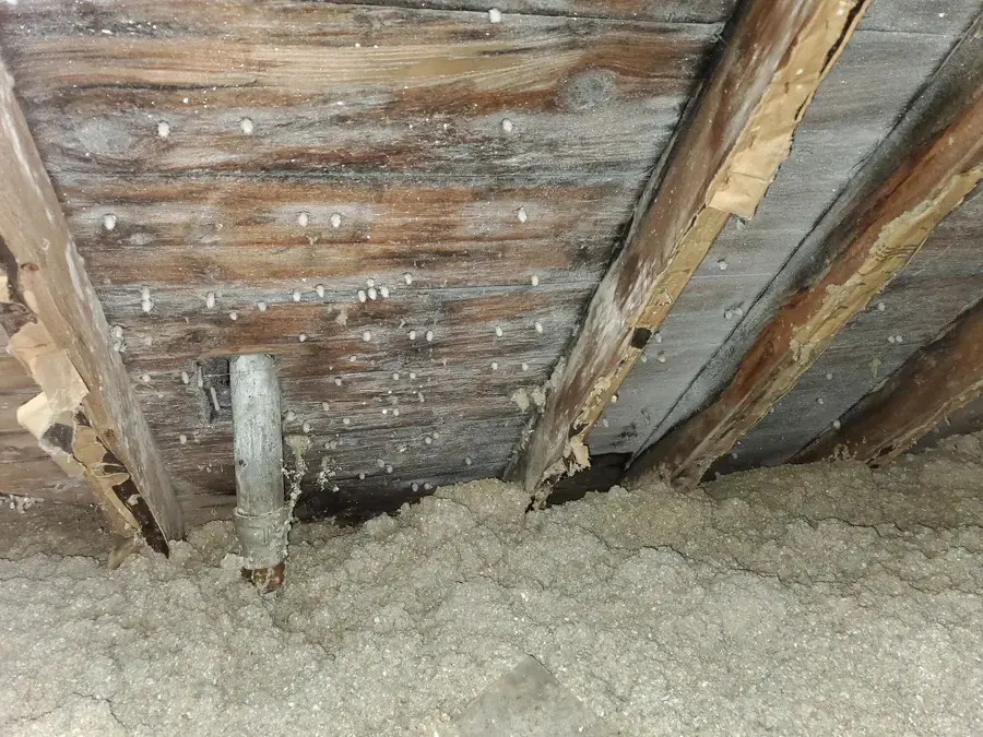 Water-stained roof sheathing and wet insulation in a Redding attic
